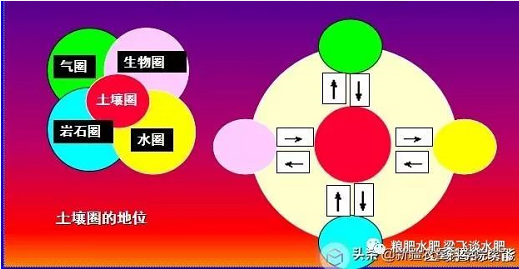 如何科學應用土壤的綜合因素，科學測土施肥！