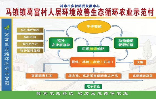 “葛富模式”火了 