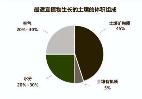 “土壤肥力”到底是什么？提高肥力提高的什么？科學(xué)數(shù)據(jù)來(lái)解釋