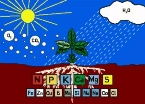 肥料施到地里多久能吸收？看完就懂了！