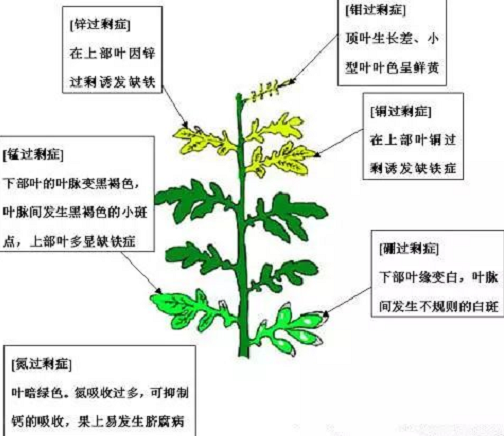 肥料施到地里多久能吸收？看完就懂了！