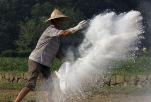 “生石灰”是如何解決土壤酸化、土壤傳染??？原理與用量是關鍵