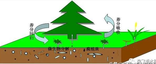 改良土壤要合理施用有機(jī)肥，要防止生物污染和有機(jī)廢棄物污染土壤...