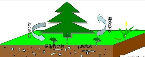 改良土壤要合理施用有機(jī)肥，要防止生物污染和有機(jī)廢棄物污染土壤