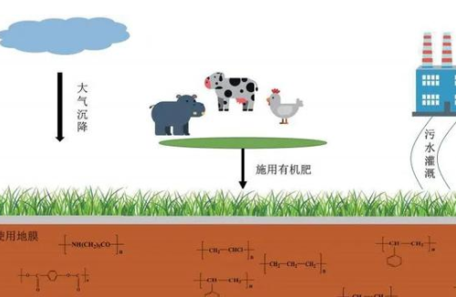 什么是酸性土壤？改良酸性土壤有什么方法 