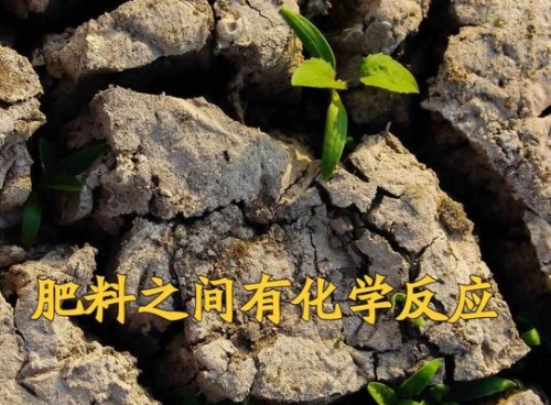 肥料施入土壤中多久才能被作物吸收？水溶性肥當(dāng)天就被作物吸收