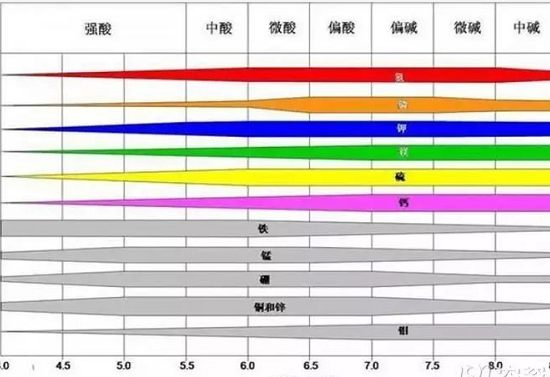 農作物生長的關鍵還在于土壤！