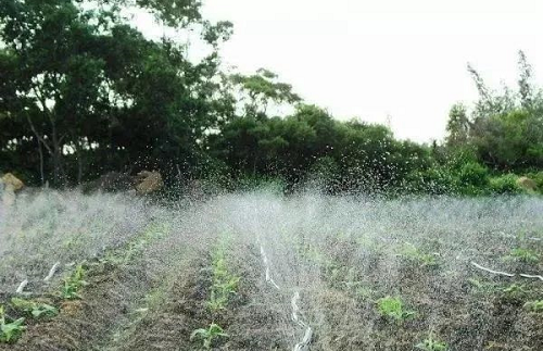 史上最全土壤知識(shí)?。ń^版）