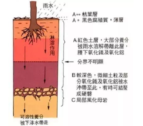 史上最全土壤知識(shí)?。ń^版）