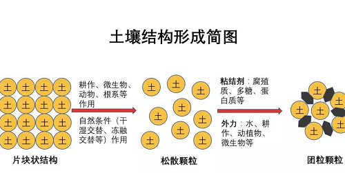 史上最全土壤知識(shí)?。ń^版）