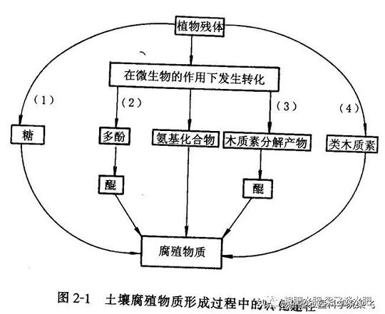 土壤有機(jī)質(zhì)增加與施用有機(jī)肥的關(guān)系？