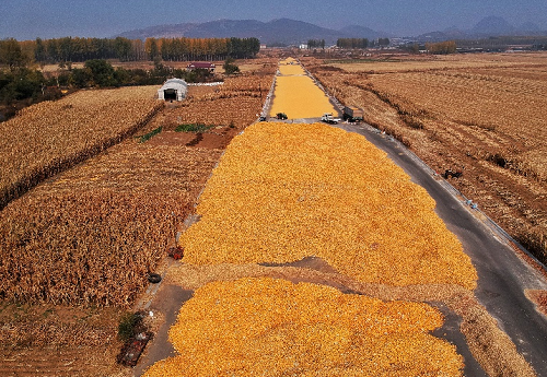 施用有機肥料是提高土壤肥力的主要途徑之一