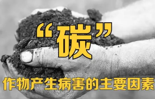 缺“碳”對土壤、作物的危害到底有多大？權威數(shù)據(jù)告訴你