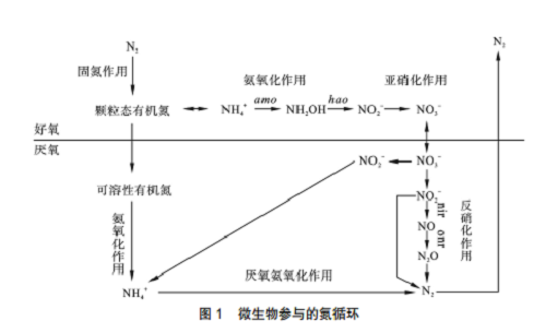 施用微生物肥料對土壤質(zhì)量的影響