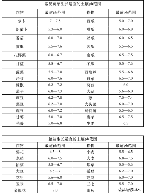 為什么要用有機肥？這是我見過最好的回答！