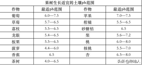 為什么要用有機肥？這是我見過最好的回答！