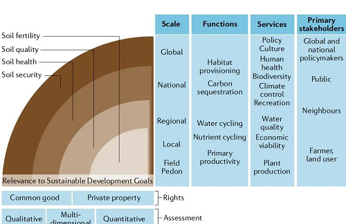 土壤健康的概念和未來(lái)展望！