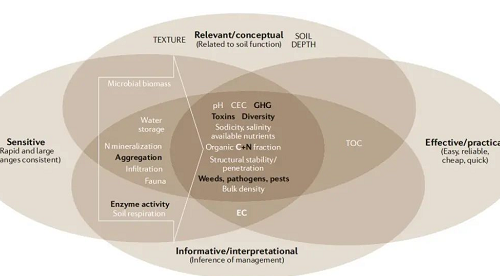 土壤健康的概念和未來(lái)展望！