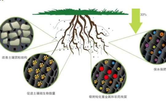 在什么情況下禁止使用菌肥？避開(kāi)這4點(diǎn)因素，土壤越種越肥