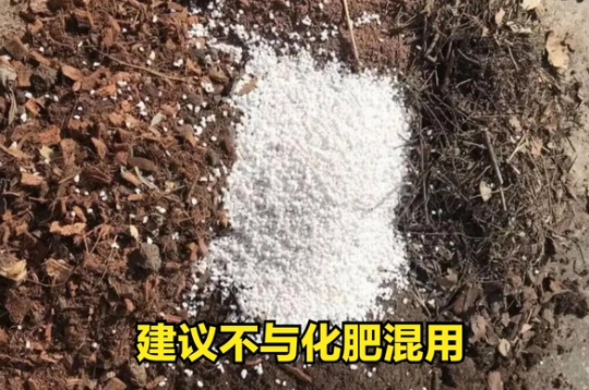 在什么情況下禁止使用菌肥？避開(kāi)這4點(diǎn)因素，土壤越種越肥