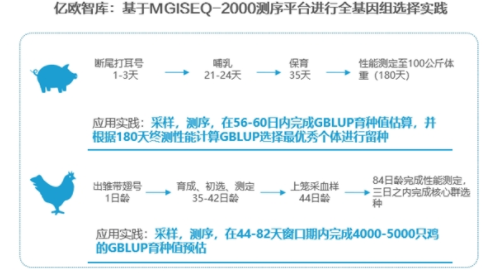 我們?yōu)槭裁纯春弥袊肿佑N？“最后一公里”并非遙不可及