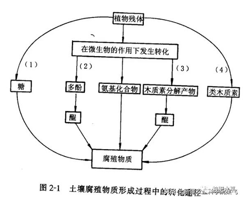 土壤有機(jī)質(zhì)增加與施用有機(jī)肥的關(guān)系？