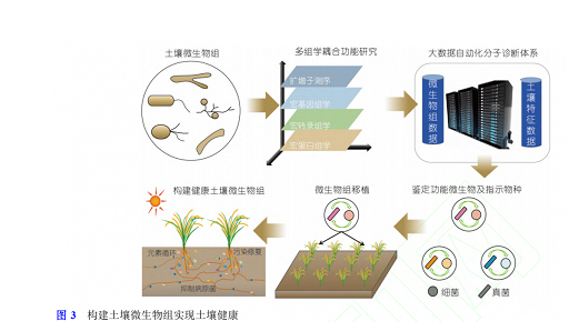 土壤微生物組與土壤健康