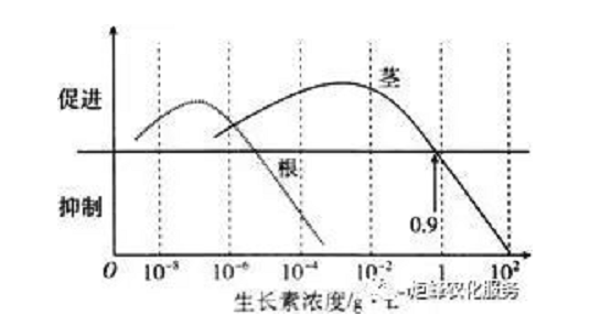 影響作物根系生長的三要素