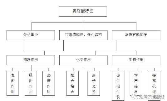 影響作物根系生長的三要素