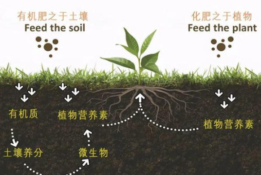 改良土壤，你不做，我也不做，那誰(shuí)來(lái)做？”