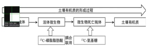 關于土壤中的“有機質(zhì)”這個話題，是最近幾年聊的最大的，尤其是在重視的程度上非常大了。有人會問，它比肥