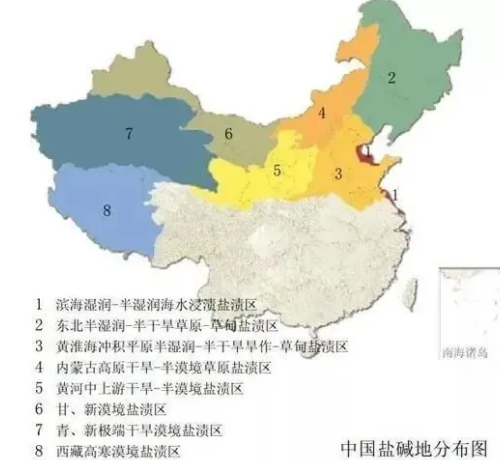 關(guān)于土地鹽堿化，這篇知識點全部匯總出來了