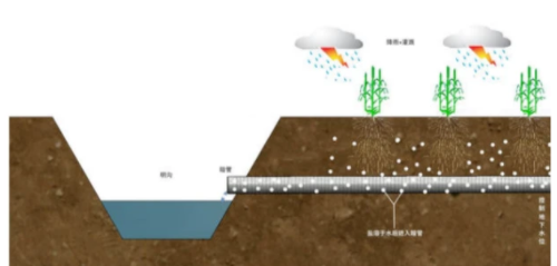 關(guān)于土地鹽堿化，這篇知識點全部匯總出來了