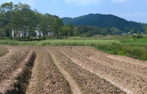 “世界土壤日”再臨，污染防治“防火墻”高筑中