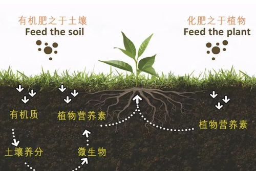 改良土壤，你不做，我也不做，那誰來做？”