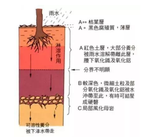 完整的土壤知識(shí)（農(nóng)資人必備）