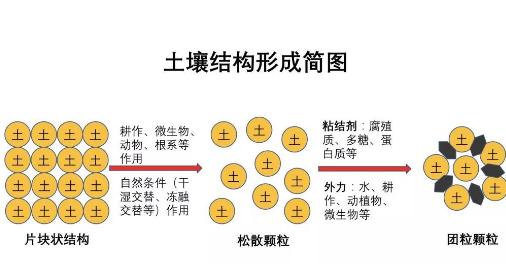 完整的土壤知識(shí)（農(nóng)資人必備）