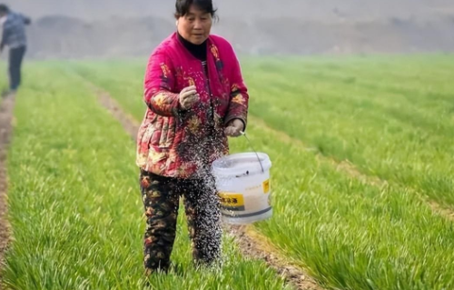 很多時候把肥料給浪費了...