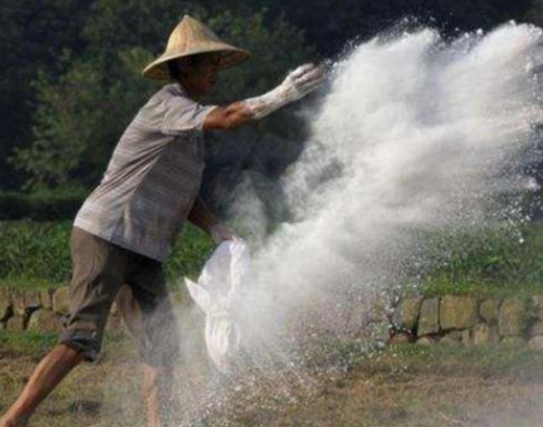 “生石灰”是如何解決土壤酸化、土壤傳染??？原理與用量是關(guān)鍵