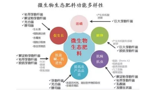 生物有機肥為何能改善農(nóng)產(chǎn)品品質、提高土壤肥力？這篇文章終于說明白了！