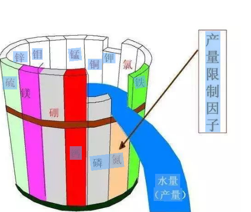 別再只上氮磷鉀了，原來土壤最缺的是它→