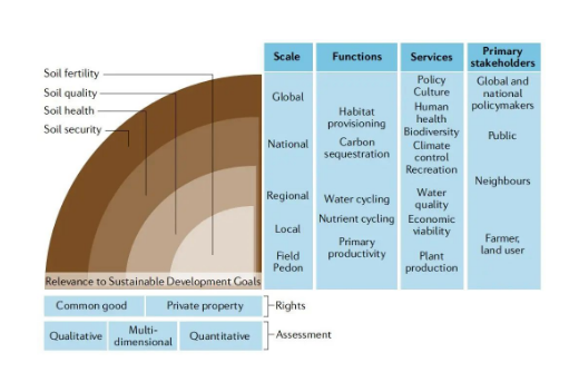 土壤健康的概念和未來展望！