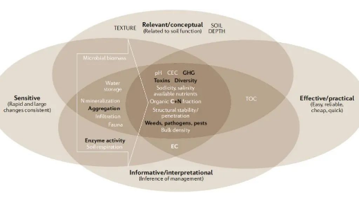 土壤健康的概念和未來展望！