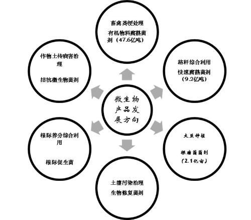 未來我們要迎接一個(gè)怎樣的微生物肥料時(shí)代呢！