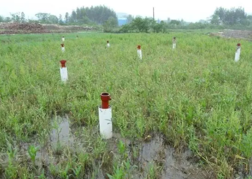 農(nóng)藥正在破害土壤健康？