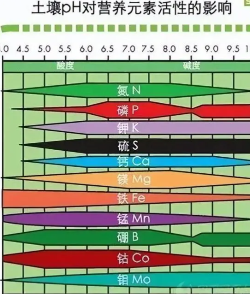 你知道土壤的正確改良方法嗎？近年來的土壤問題，一直困擾我們