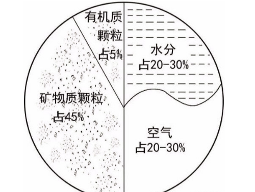 土壤基礎(chǔ)知識(shí)圖文版