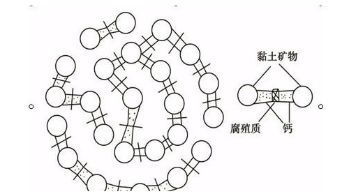 土壤基礎(chǔ)知識(shí)圖文版