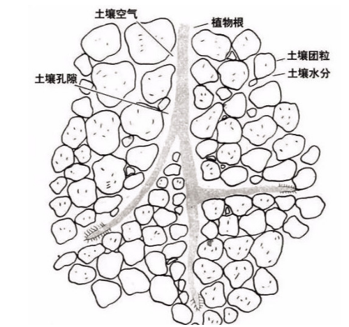 土壤基礎(chǔ)知識(shí)圖文版