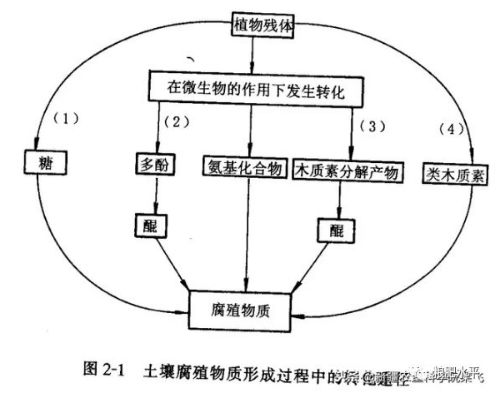 土壤有機(jī)質(zhì)增加與施用有機(jī)肥的關(guān)系？